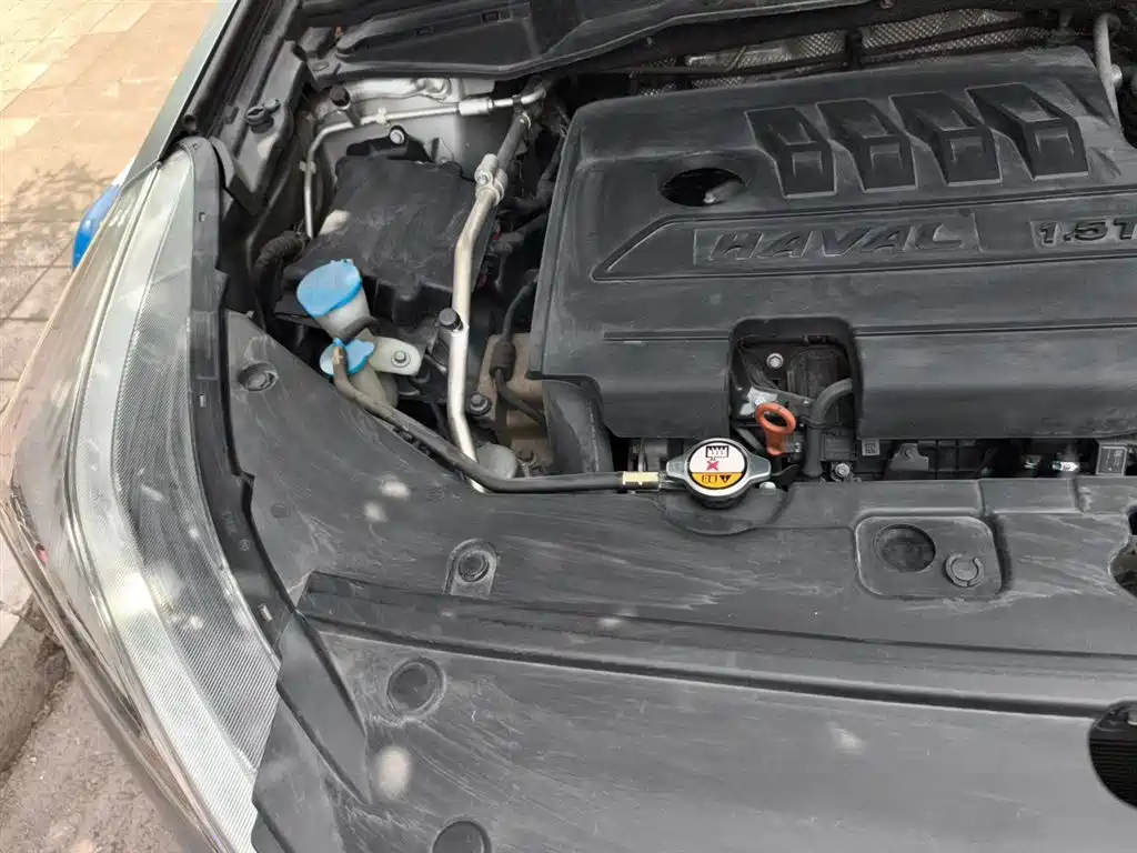 Haval H6 Coupe 2020 Smart Connect Edition 1.5T Automatic 2WD Luxury Smart Connect фото 21