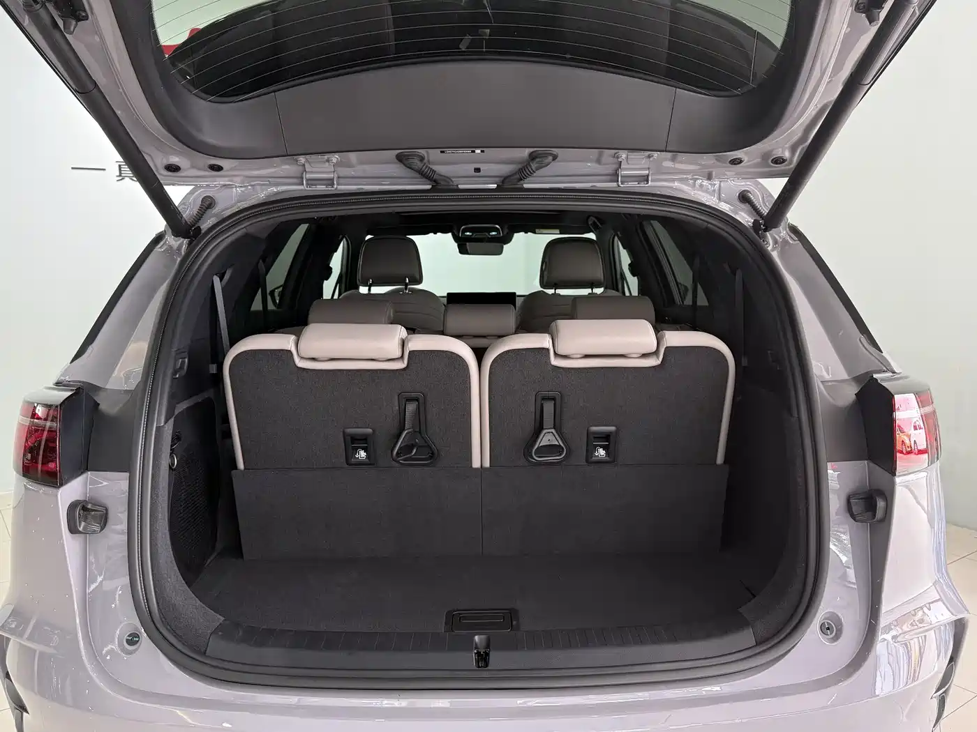 BYD Tang New Energy 2025 DM-i 115KM Flagship фото 12