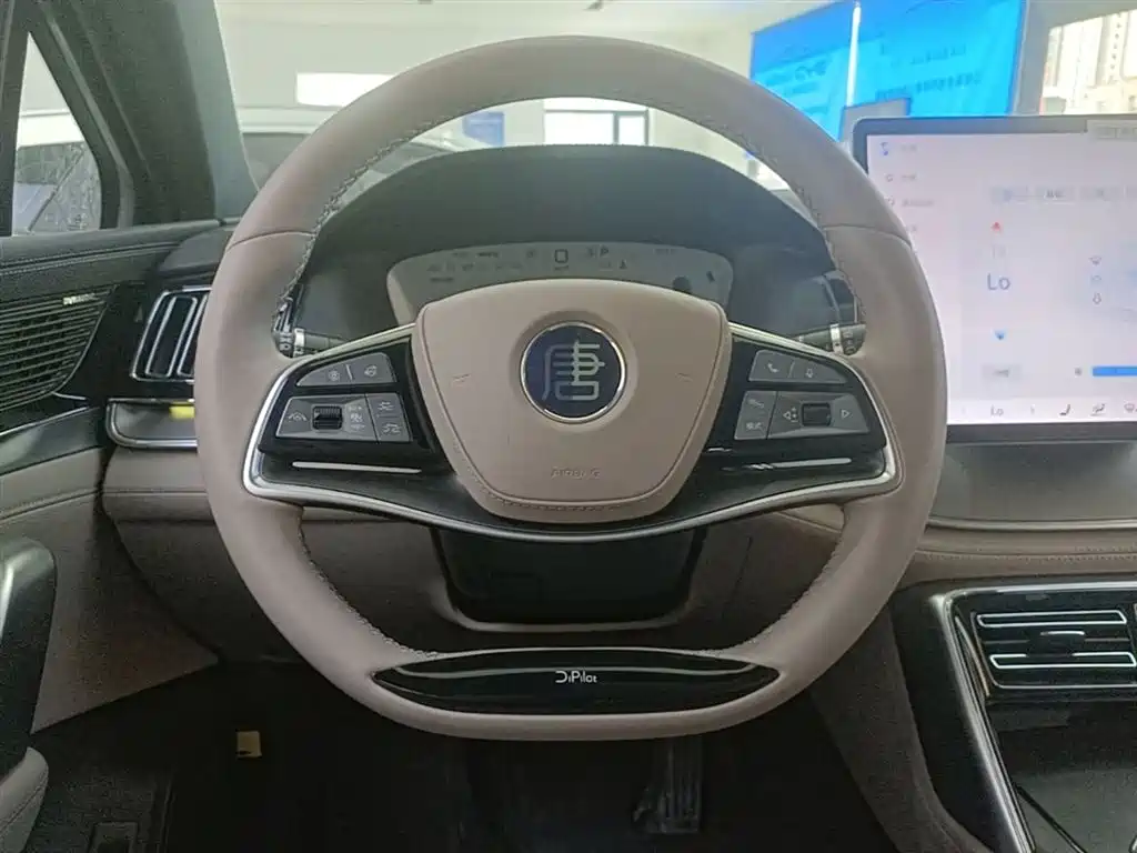 BYD Tang New Energy 2025 DM-i 115KM Cloud Chariot Flagship фото 11