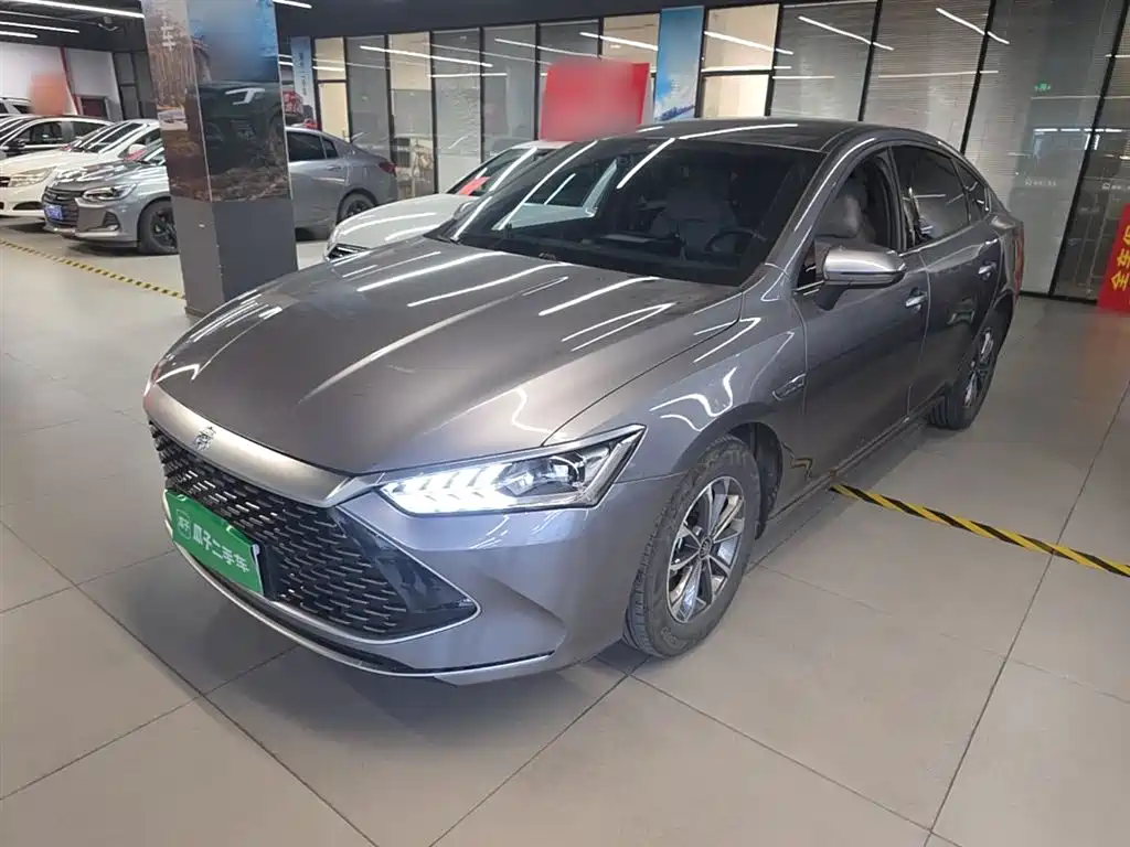 BYD Qin PLUS 2024 Glory Edition DM-i 55KM Leading фото 2