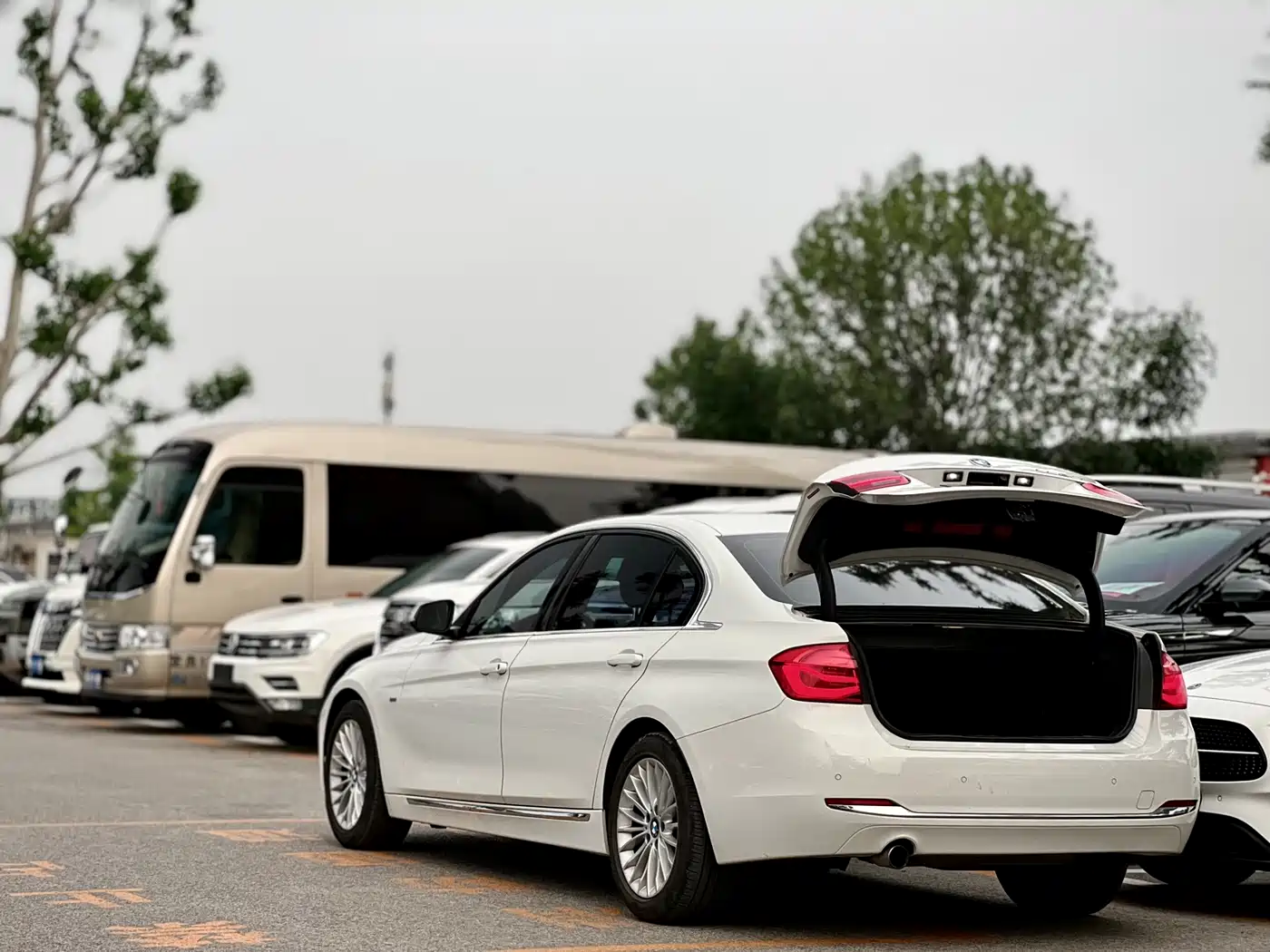 BMW 3 Series 2016 320Li Luxury Design Package фото 5