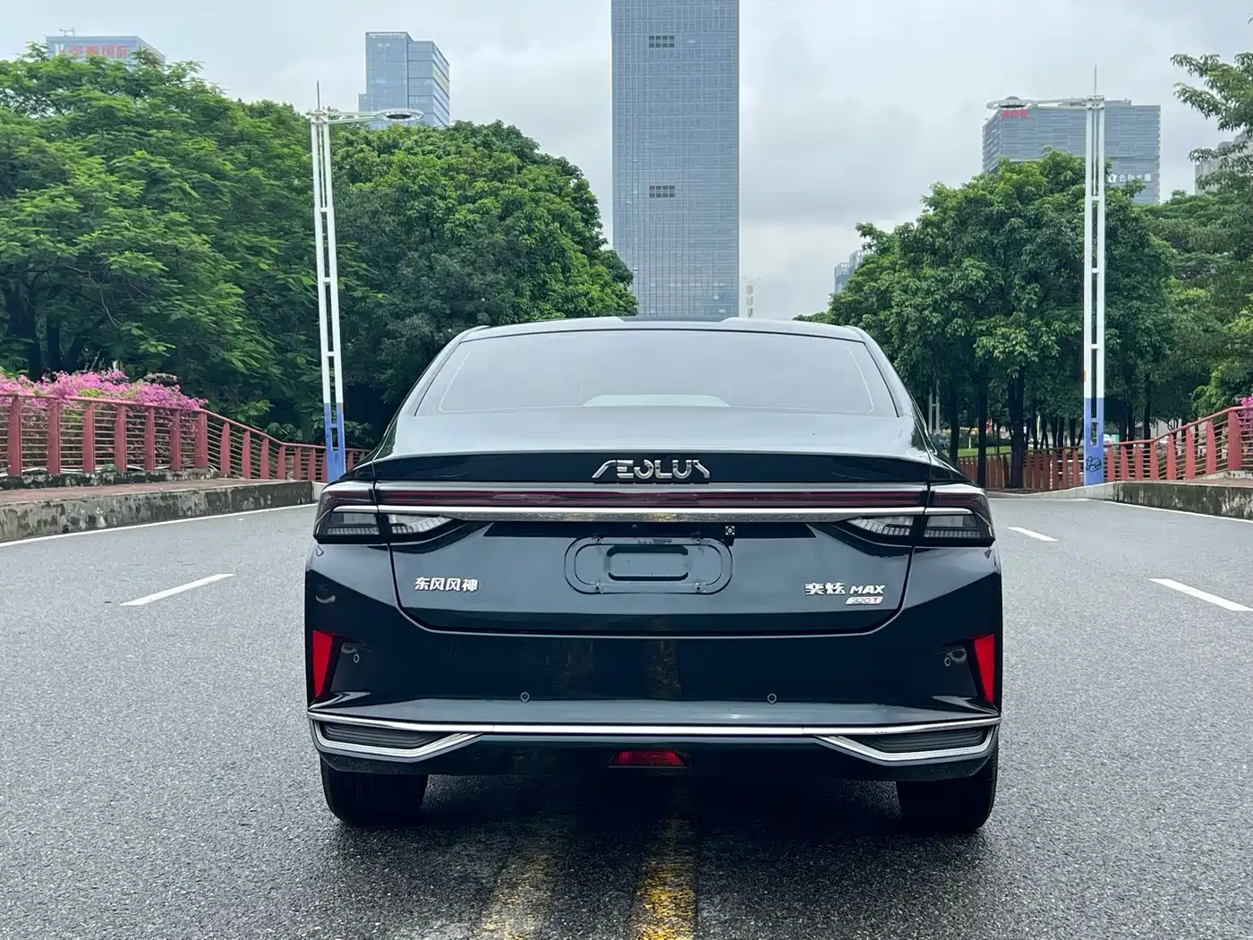 DONGFENG YI HYUN MAX