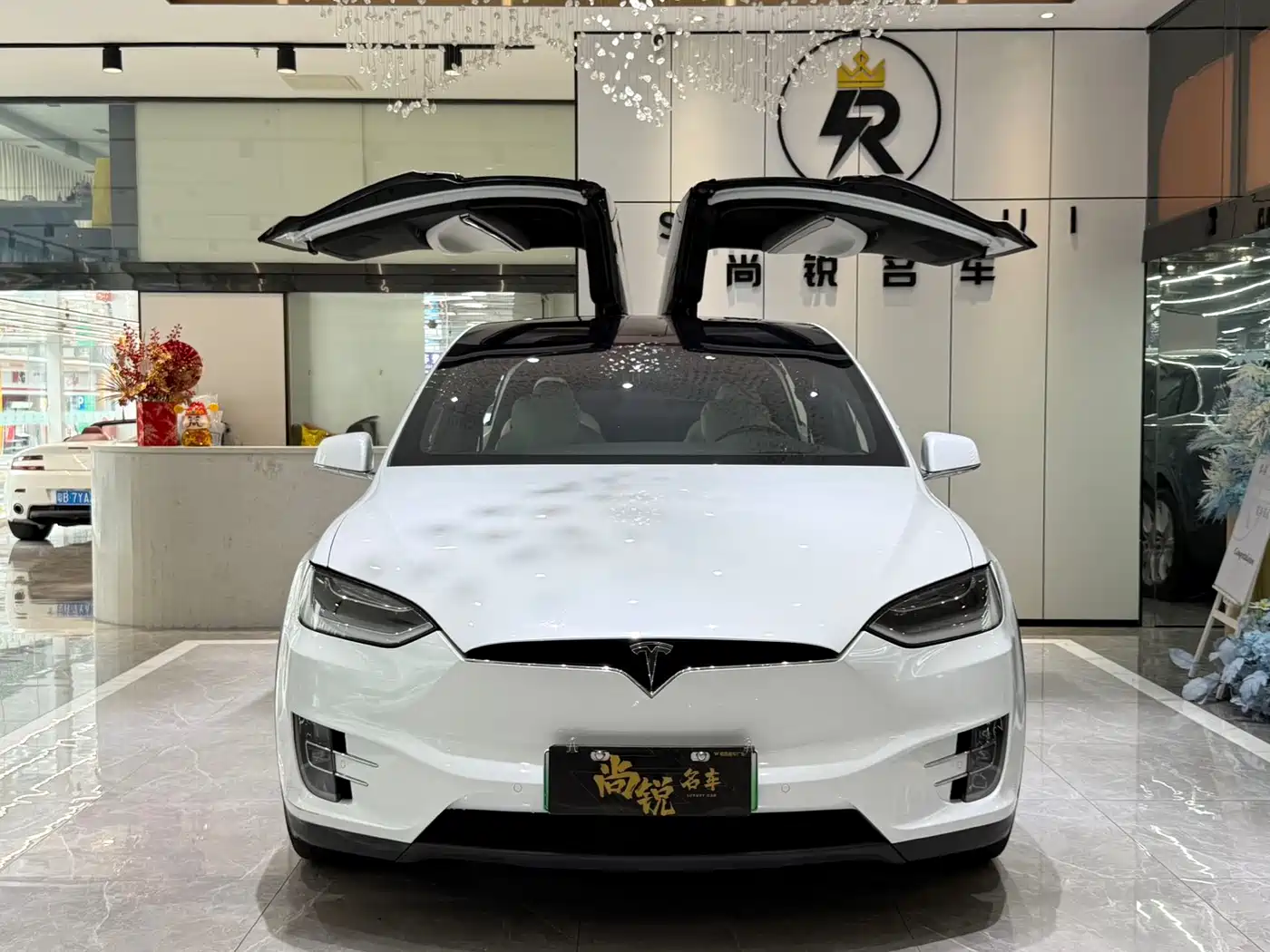 TESLA MODEL X