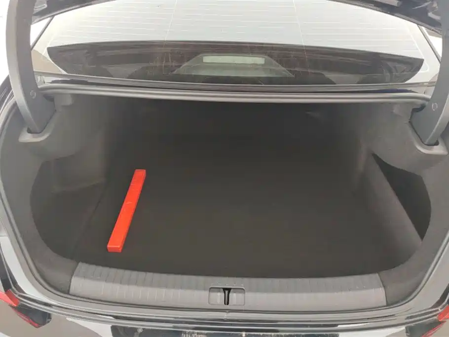 Volkswagen Passat 2022 330TSI Luxury Edition фото 4