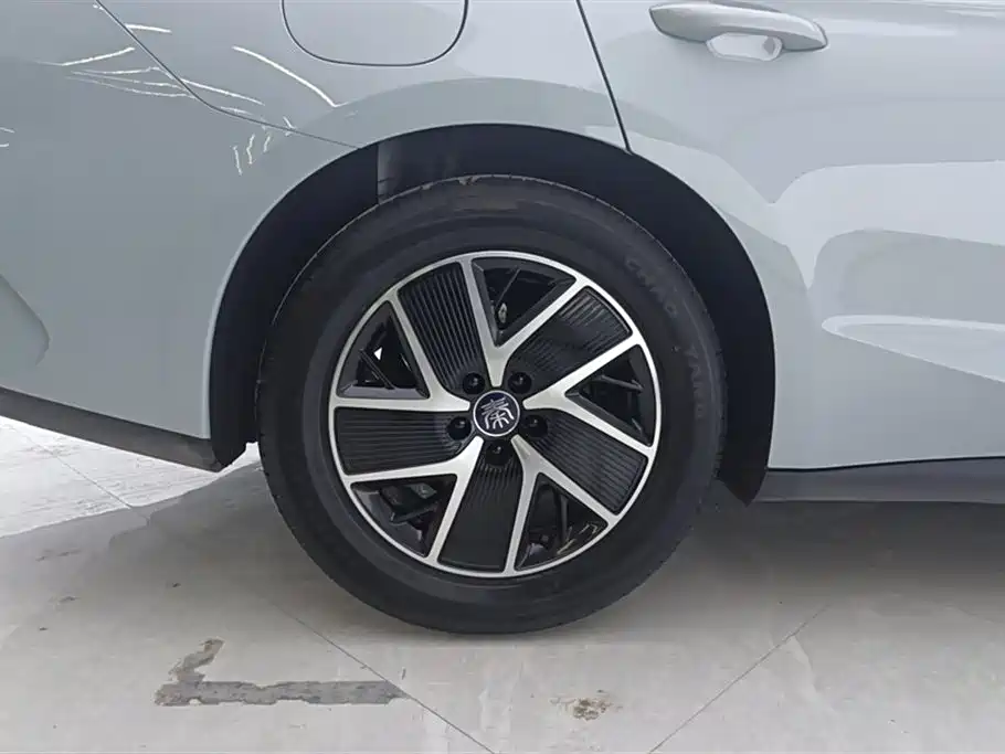 BYD Qin L 2024 DM-i 80KM Superior фото 6