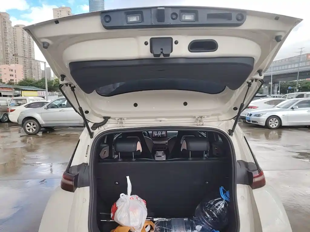 BYD Seagull 2023 2023 Freedom Edition