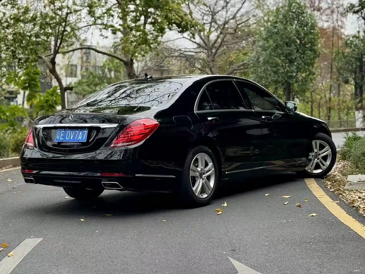Mercedes-Benz S-Class 2016 S 320 L Luxury фото 6