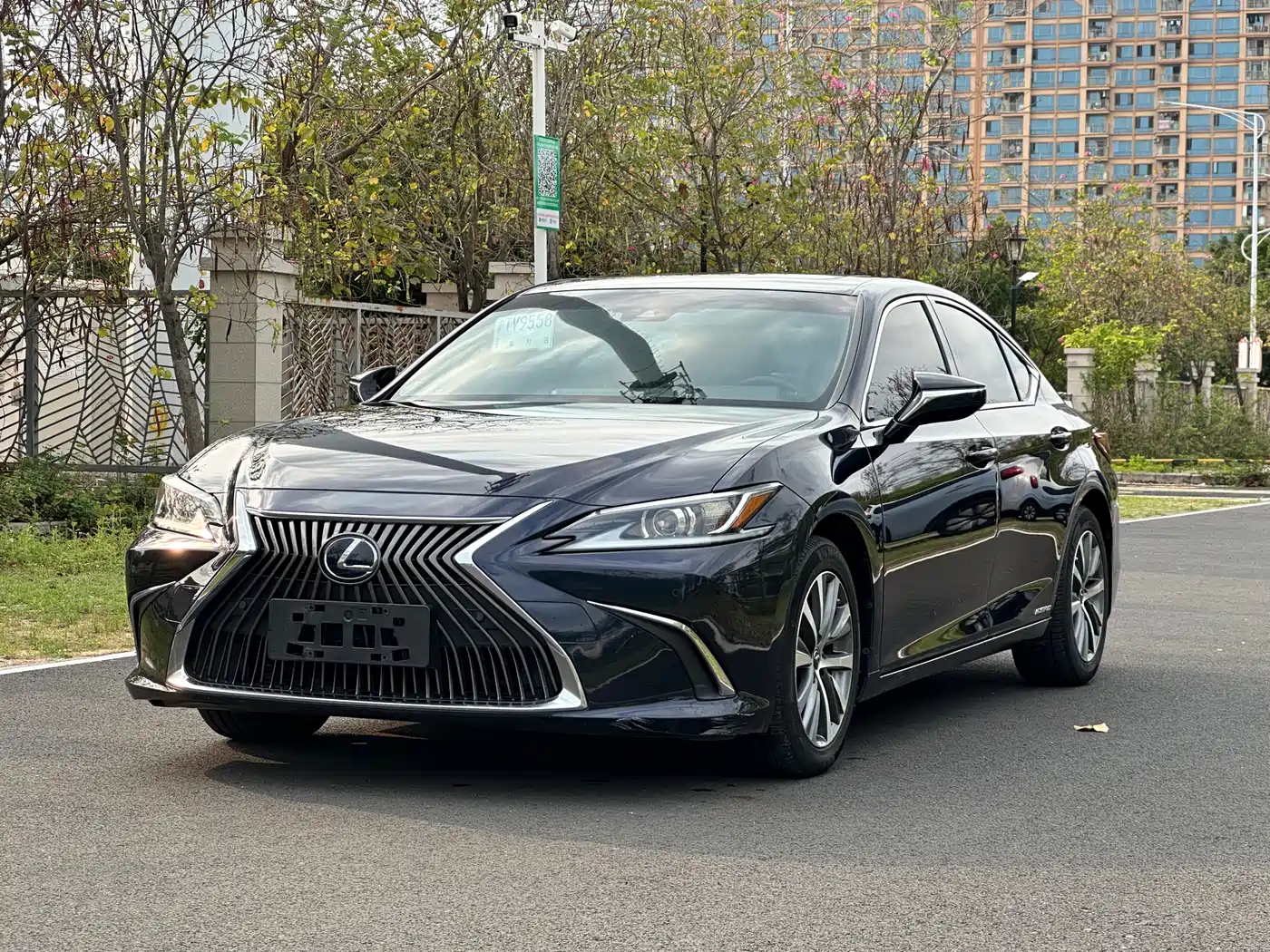 Lexus ES 2018 300h Excellence Edition China V