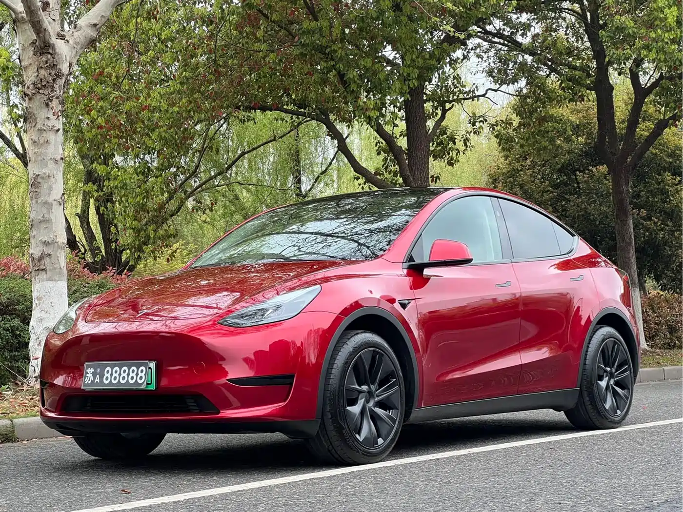 TESLA MODEL Y