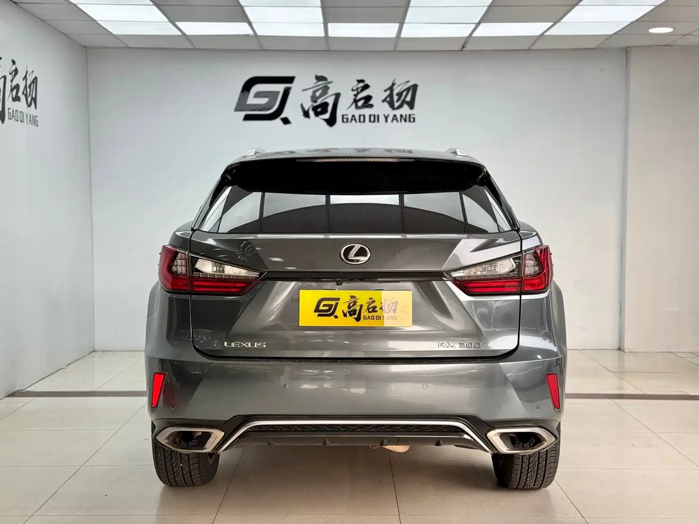 Lexus RX 2016 300 AWD F SPORT Edition China V фото 26