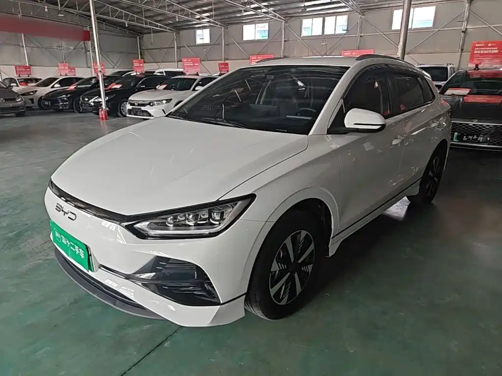 2024 BYD e2