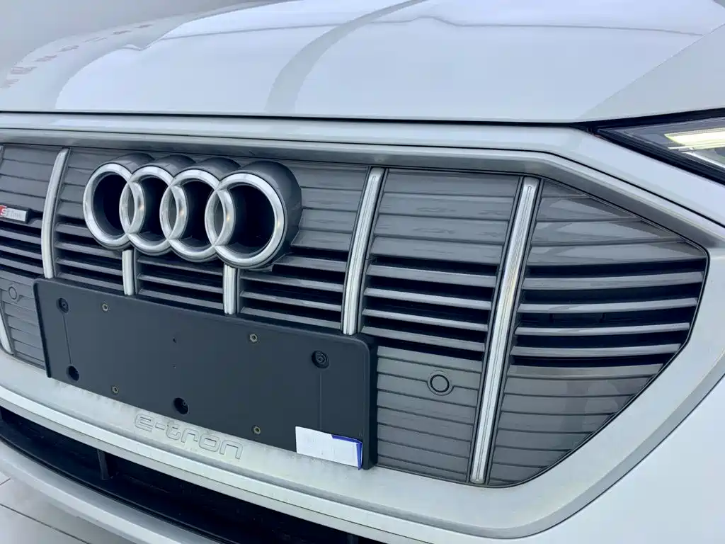 Audi e-tron 2026 2021 50 quattro Luxury