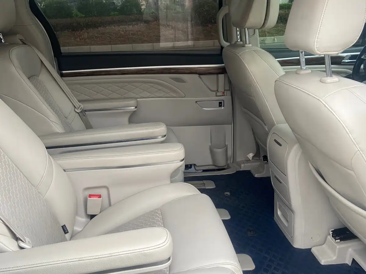 GAC Trumpchi Trumpchi M8 2018 320T Luxury Edition фото 6