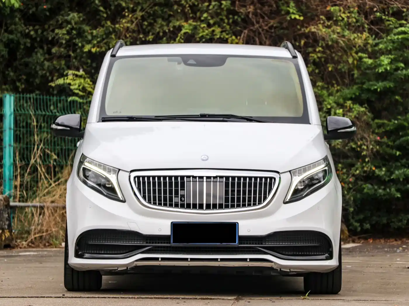 Mercedes-Benz V-Class 2016 V 260 Premium Edition фото 2