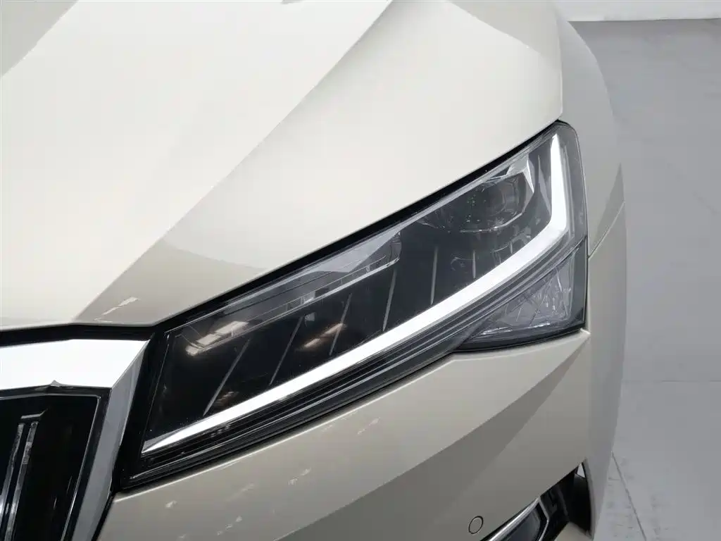 SKODA SPEED PIE