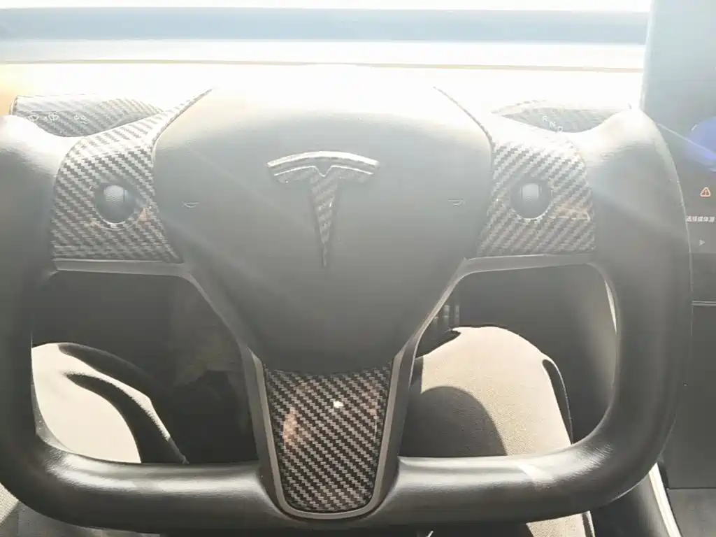 Tesla Model 3 2020 2020 Facelift Long Range Rear-Wheel Drive