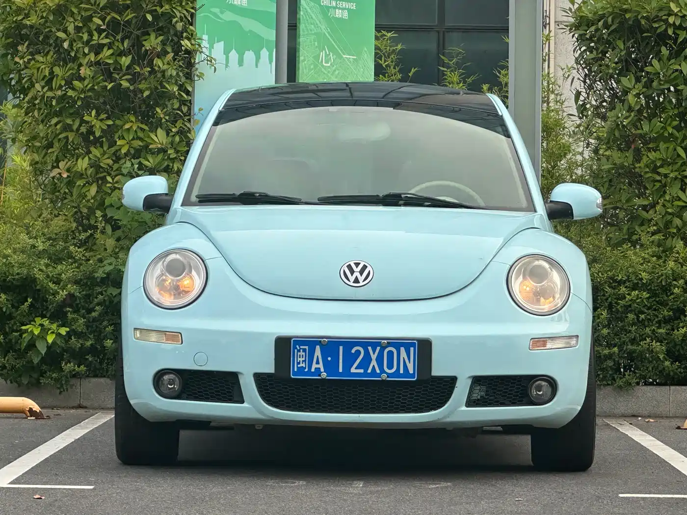 Volkswagen Beetle 2009 2008 2.0 AT Standard