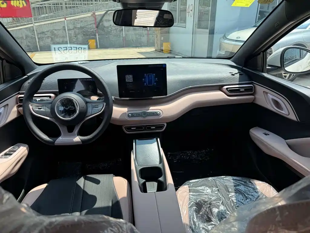BYD Seagull 2026 2025 Smart Drive Edition 305km Vitality Version