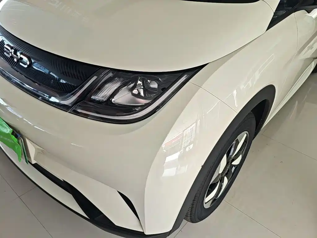 BYD Dolphin 2026 2025 420km Freedom Edition