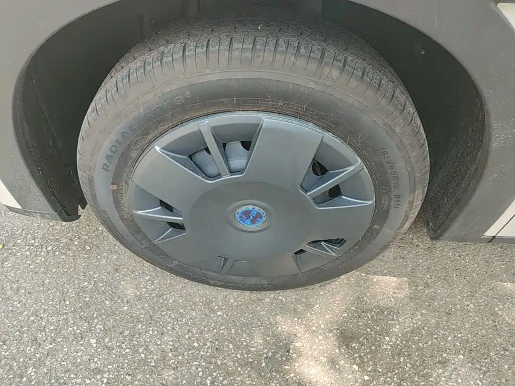 BYD Seagull 2026 2025 305km Vitality