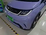 Фото 24 - BYD Dolphin