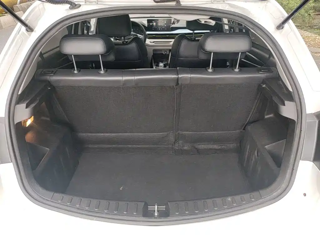 Geely Geometry EX3 Kung Fu Bull 2022 2021 Strong Bull