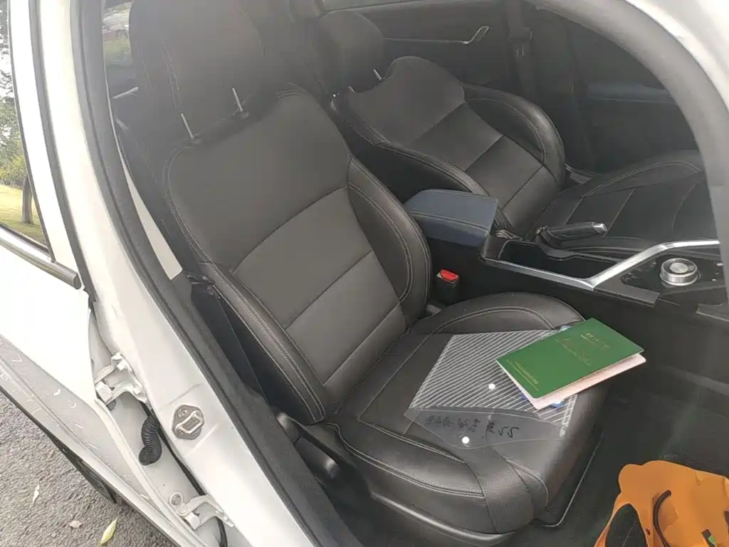 Geely Geometry EX3 Kung Fu Bull 2022 2021 Strong Bull