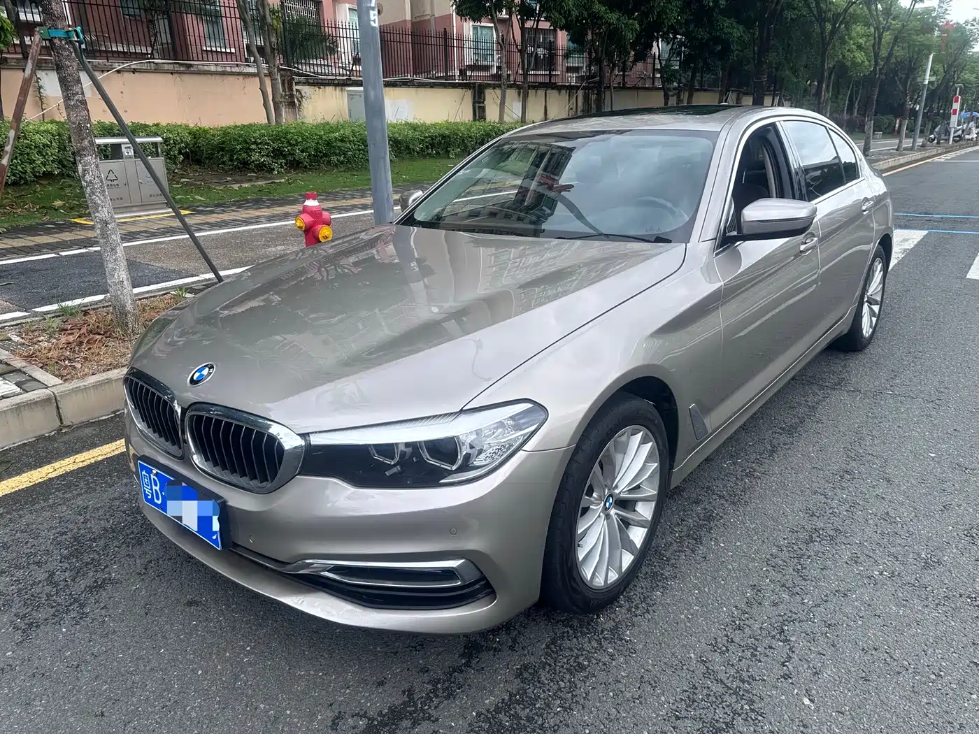 BMW 5 Series 2019 525Li Luxury Package