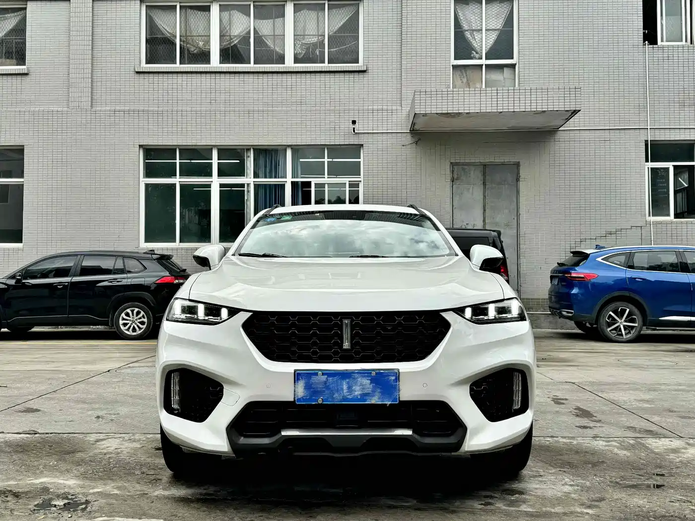 WEI PAI WEI BRAND VV7