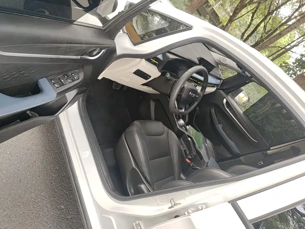 Geely Geometry EX3 Kung Fu Bull 2022 2021 Strong Bull