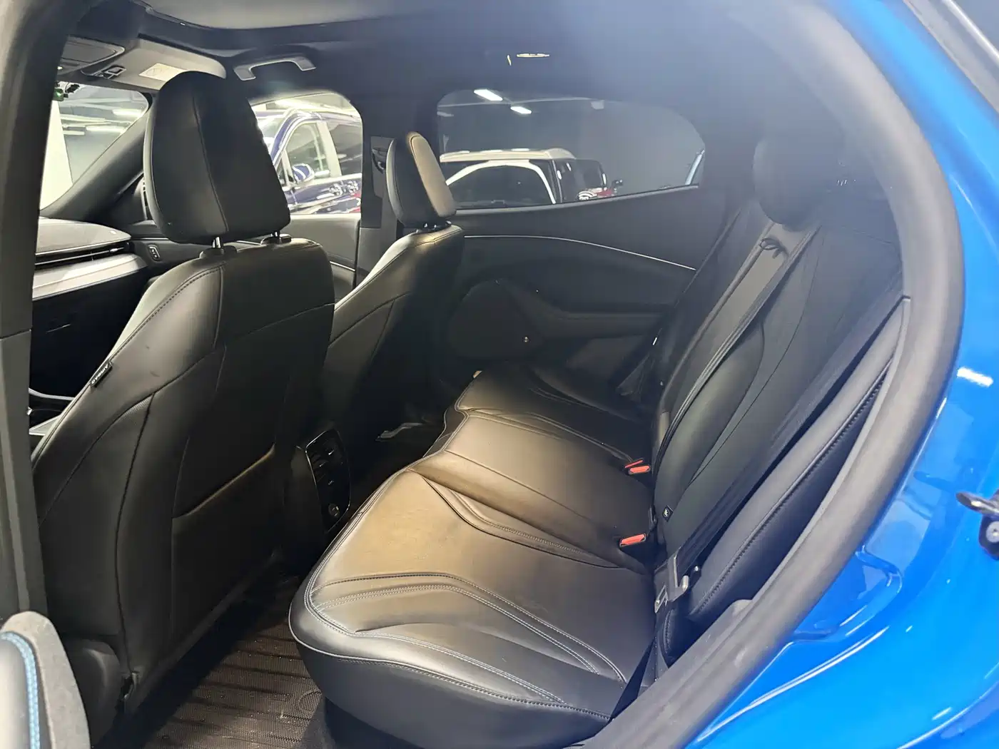 Ford Mustang Mach-E 2021 GT First Edition фото 20