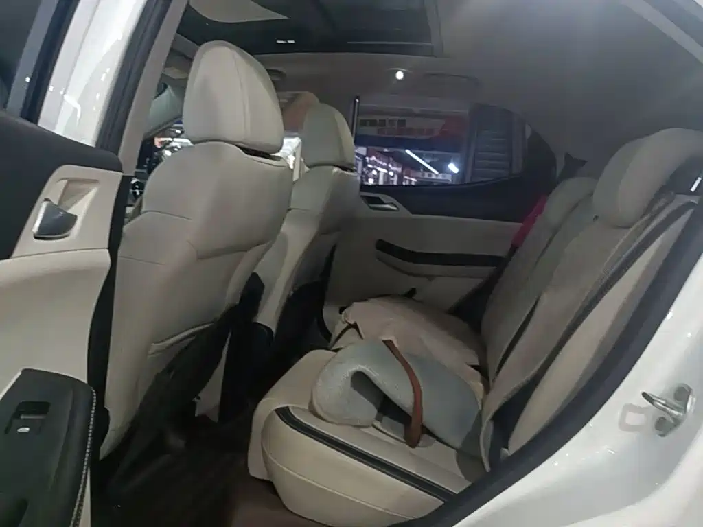 BYD Yuan Pro 2022 2021 401KM Luxury Model