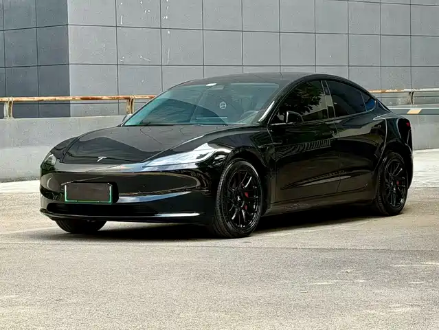 Tesla Model 3 Задний привод