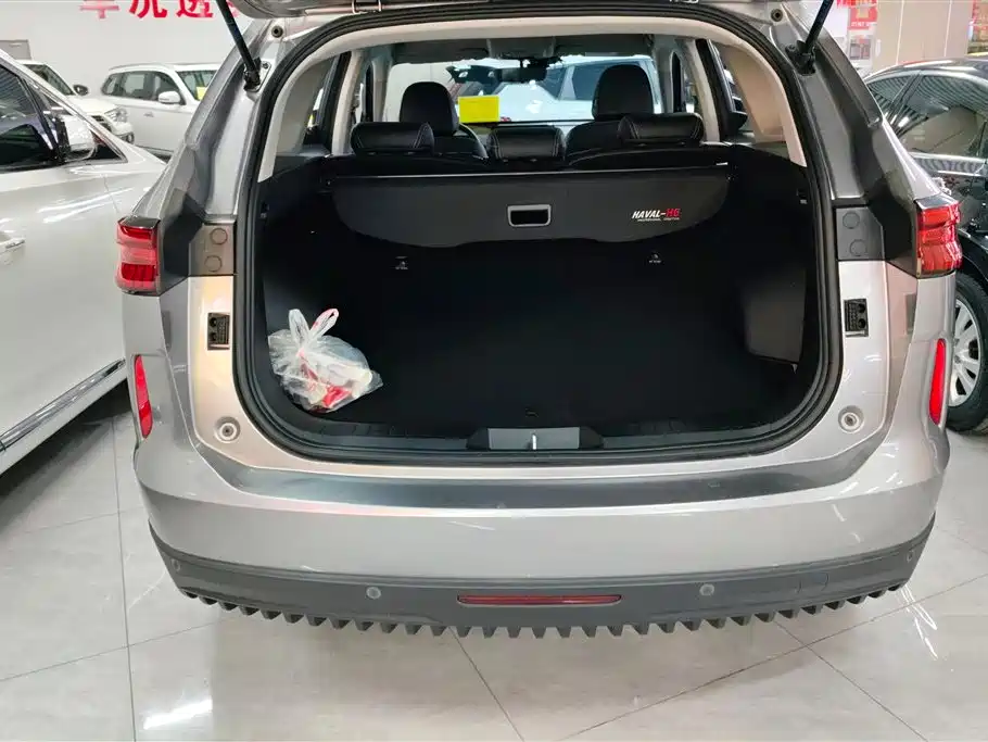 Haval H6 2021 3rd Gen 1.5T Auto 2WD Pro фото 4