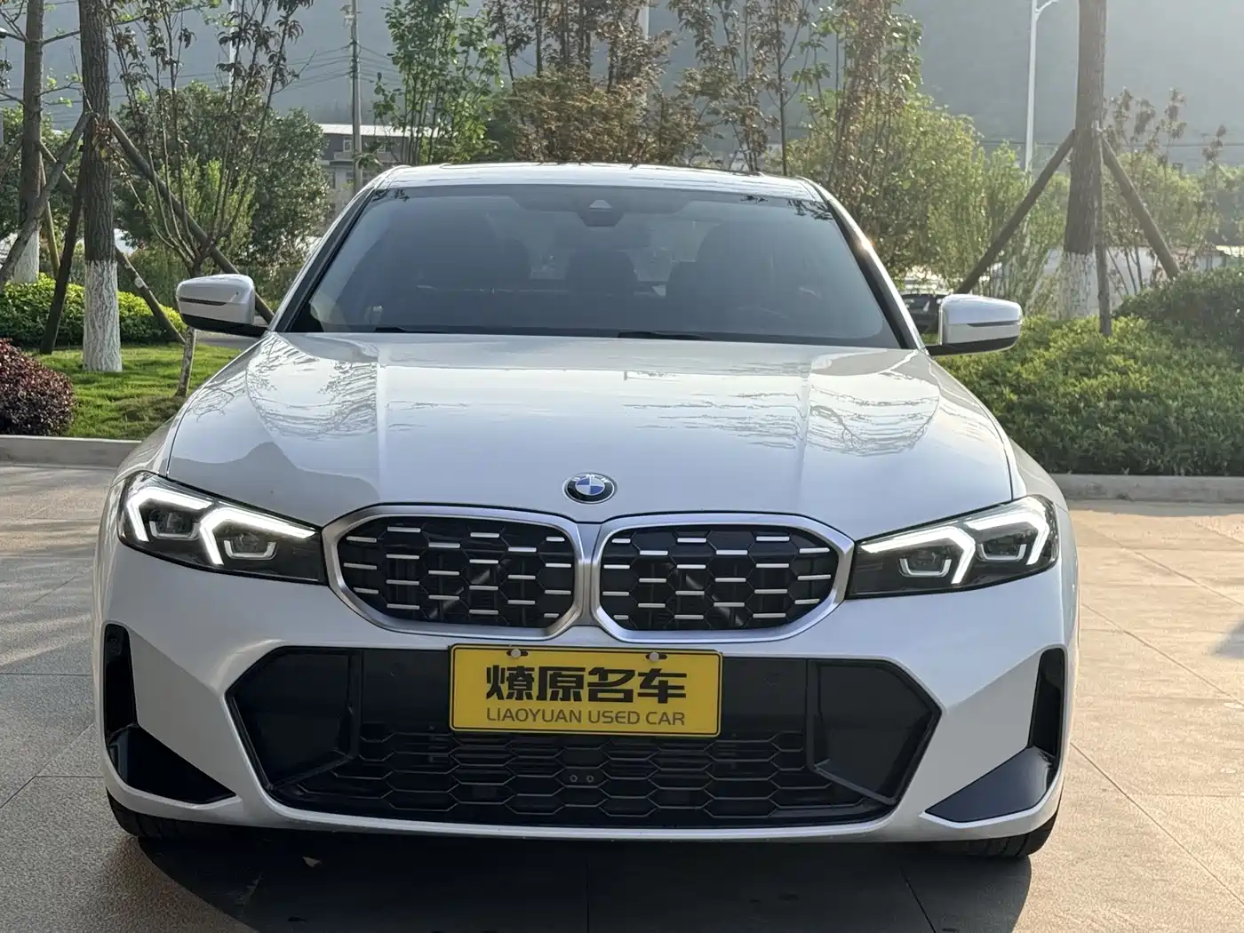 BMW 3 Series 2023 325Li M Sport Black Night Package фото 2