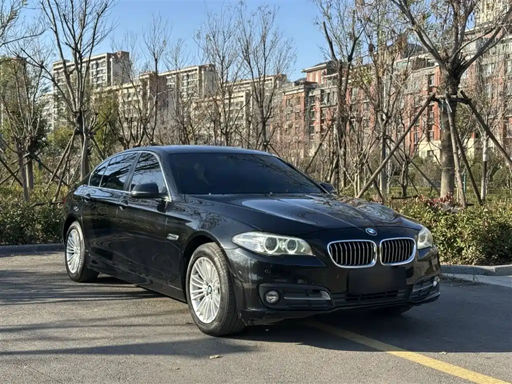 BMW 5 Series 2014 525Li Leading фото 11