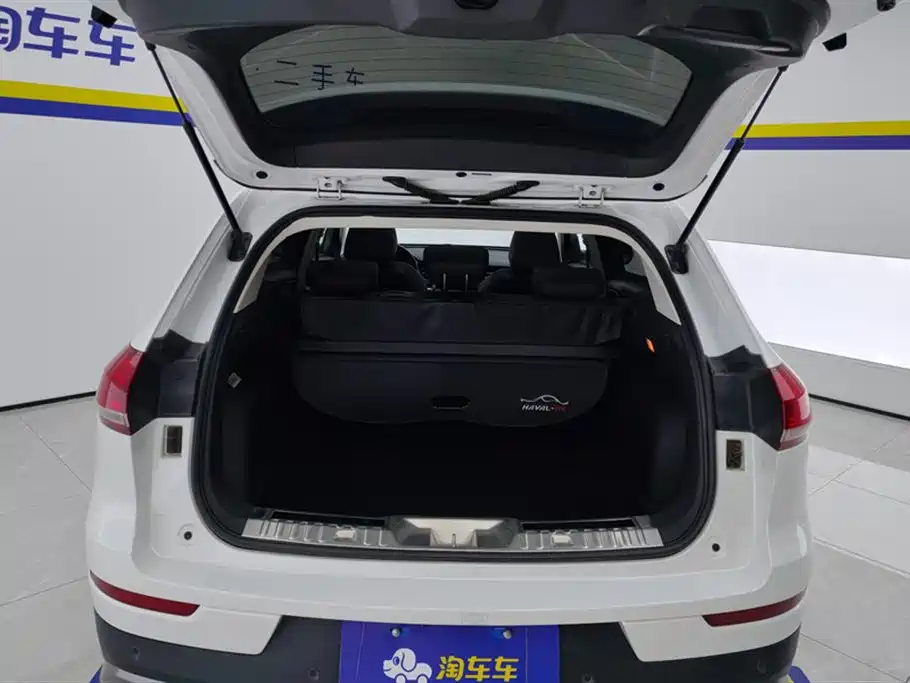 Haval H6 2020 2.0GDIT Automatic Platinum Champion Edition фото 4