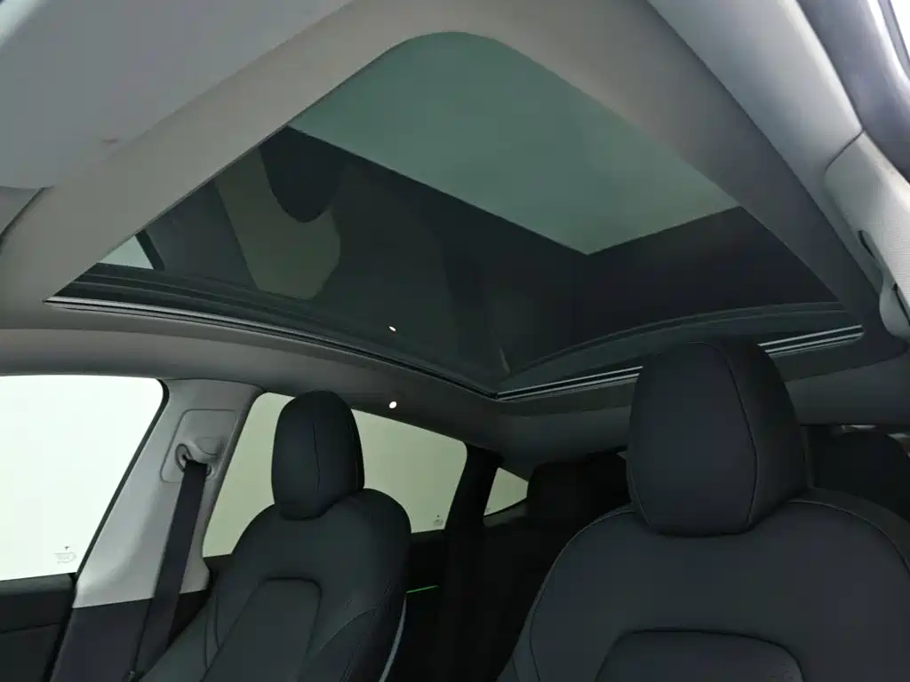 Tesla Model Y 2021 2021 Long Range All-Wheel Drive 3D7