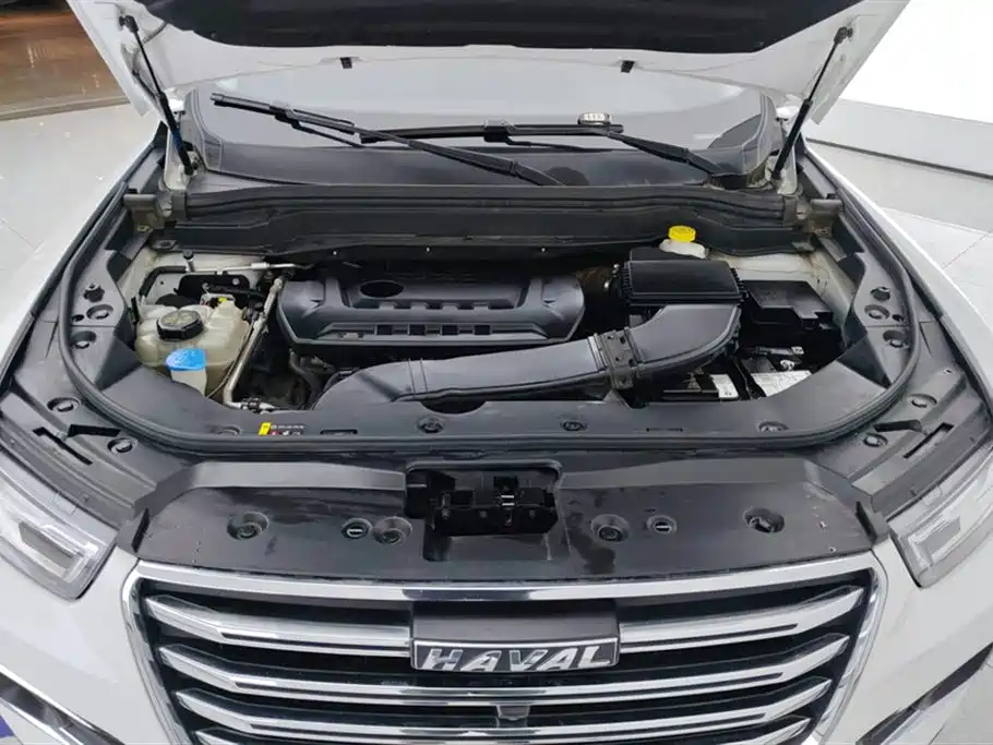 Haval H6 2020 2.0GDIT Automatic Platinum Champion Edition фото 10