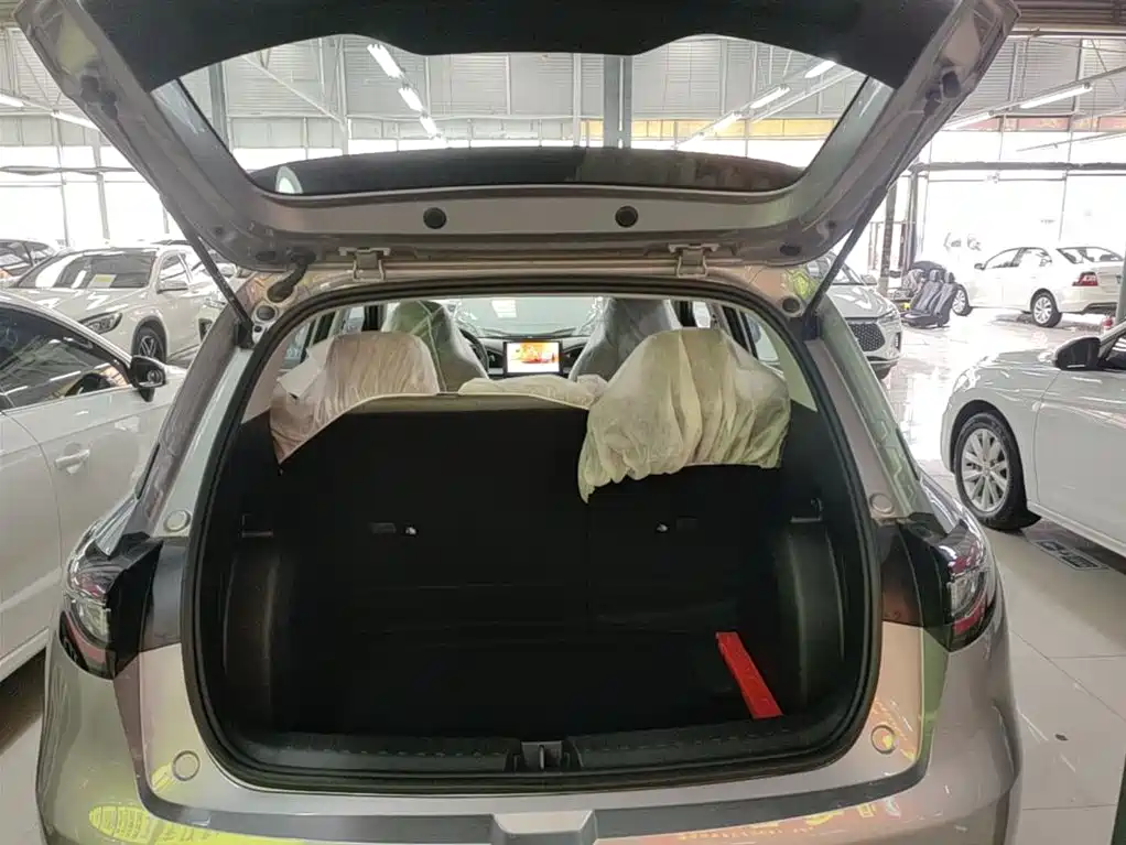 Geely Galaxy Starry Wish 2026 Edition 310km Youth Version фото 19