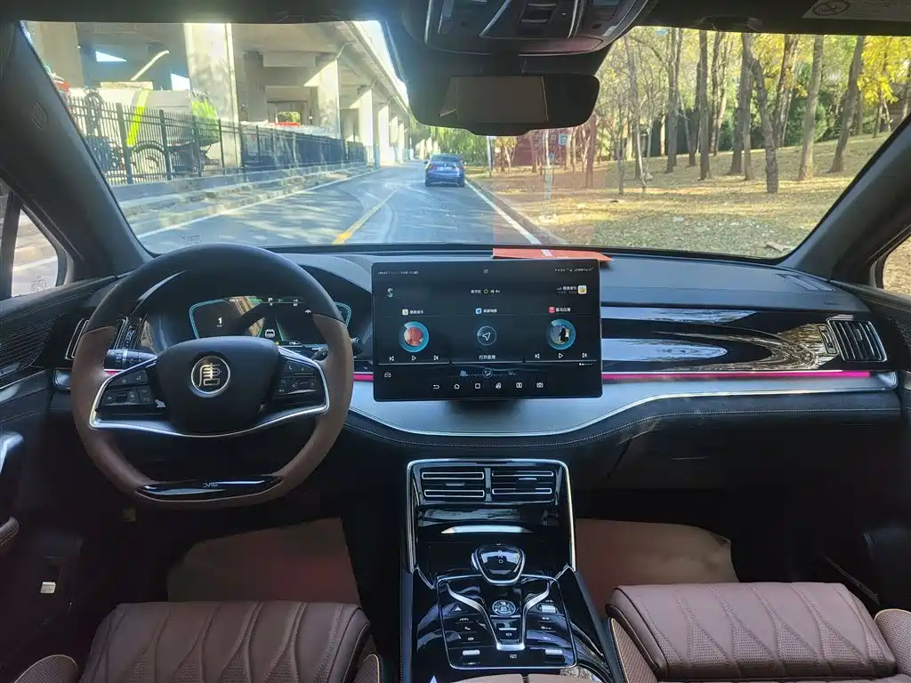 BYD Tang New Energy 2021 DM-i 112KM Honor фото 14