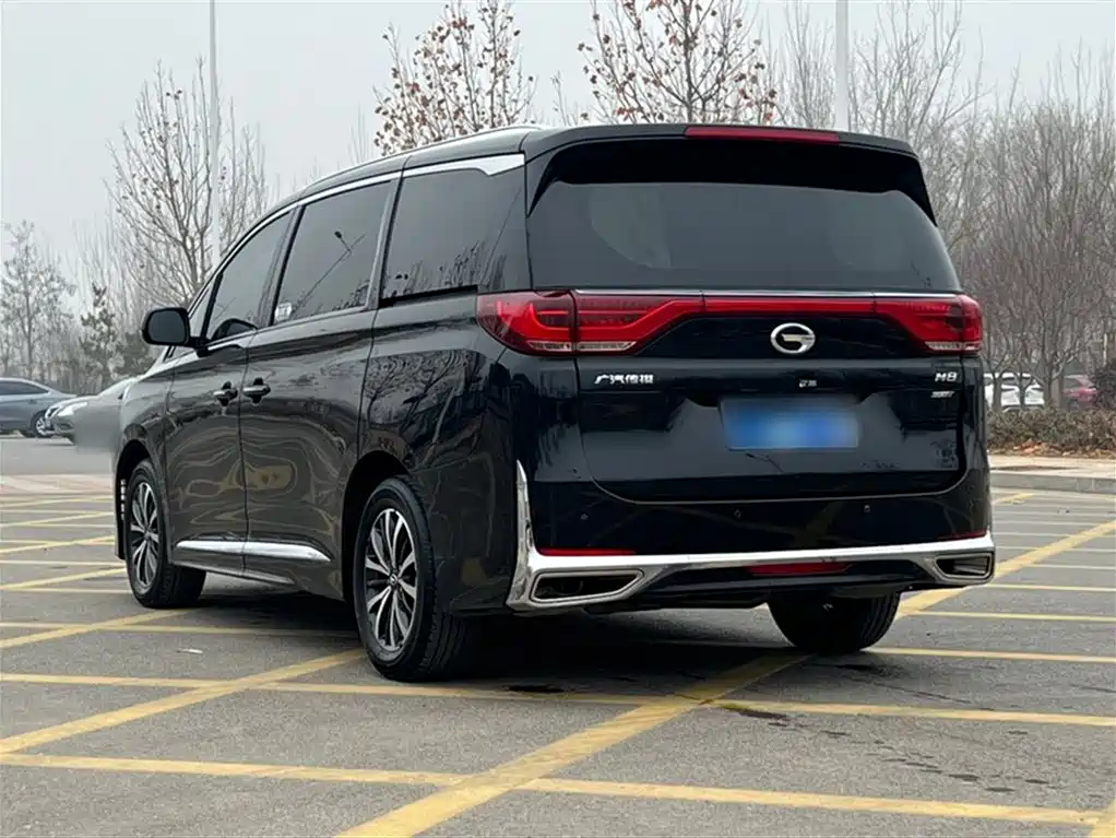 GAC Trumpchi Trumpchi M8 2023 Leading Series 390T Premium Edition фото 30