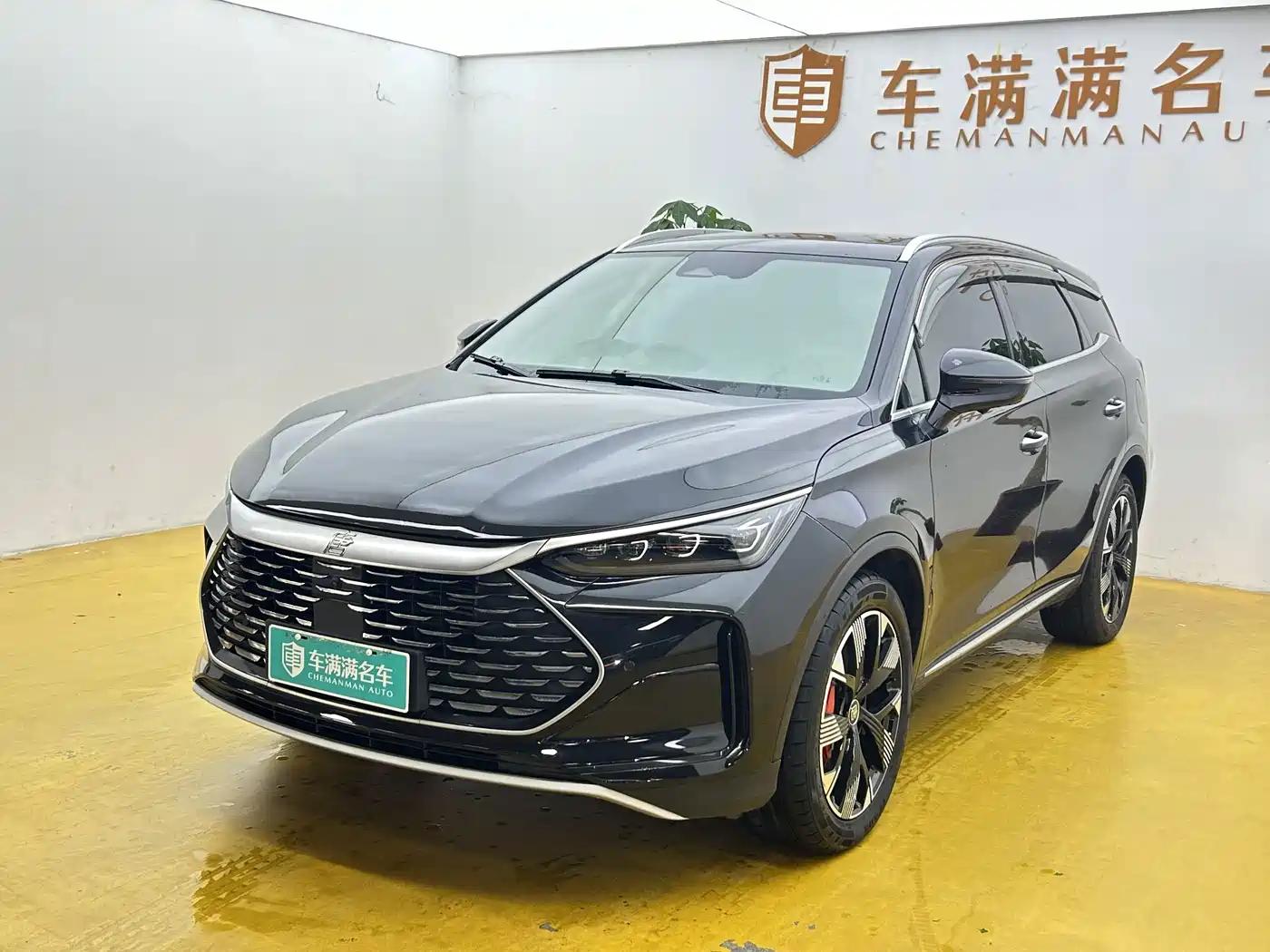 BYD Tang New Energy