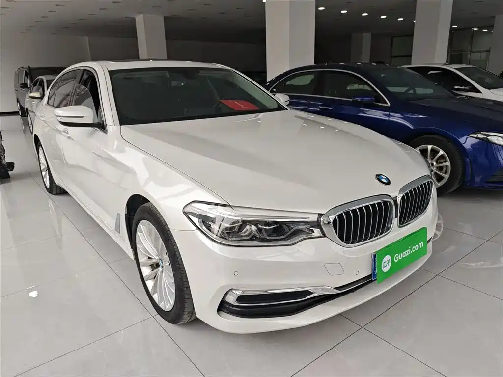 BMW 5 Series 2020 530Li Leading Luxury Package фото 20