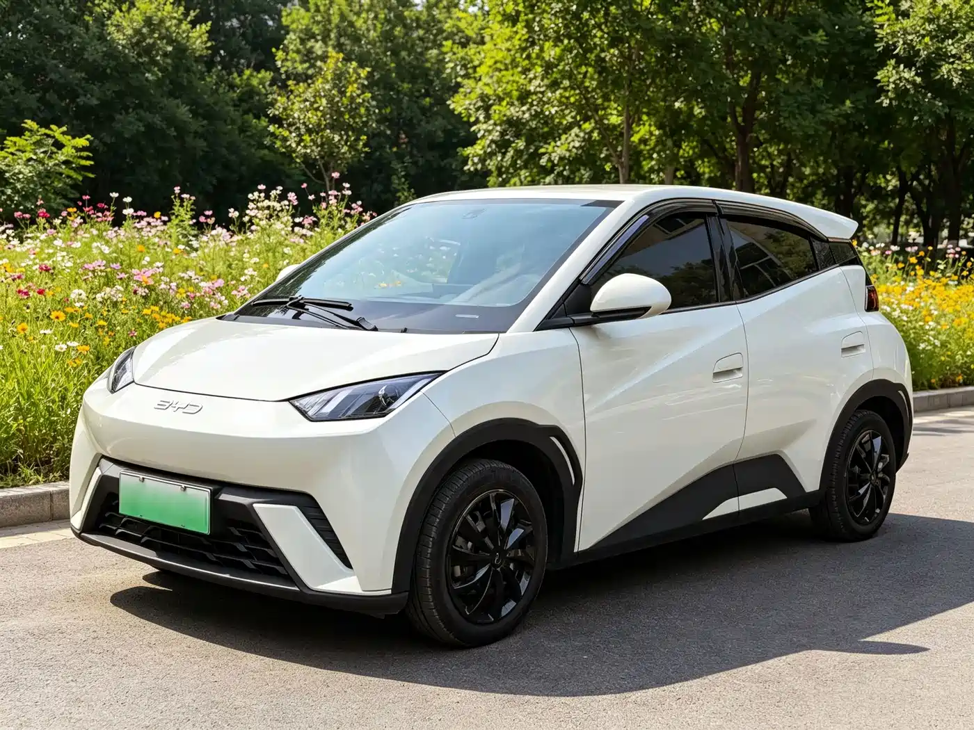 BYD Seagull 2025 305km Vitality