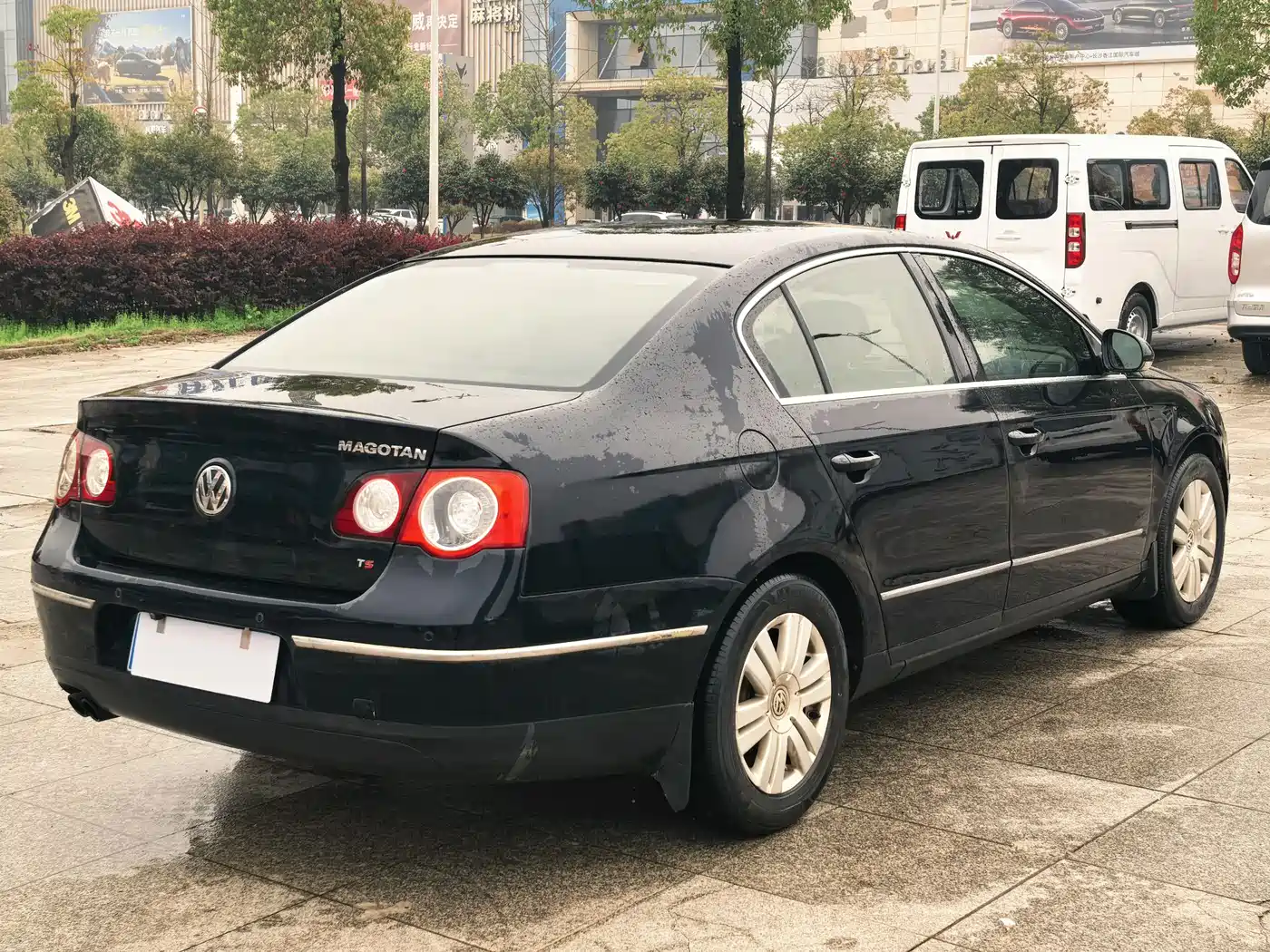 Volkswagen Magotan 2009 1.8TSI DSG Luxury фото 5