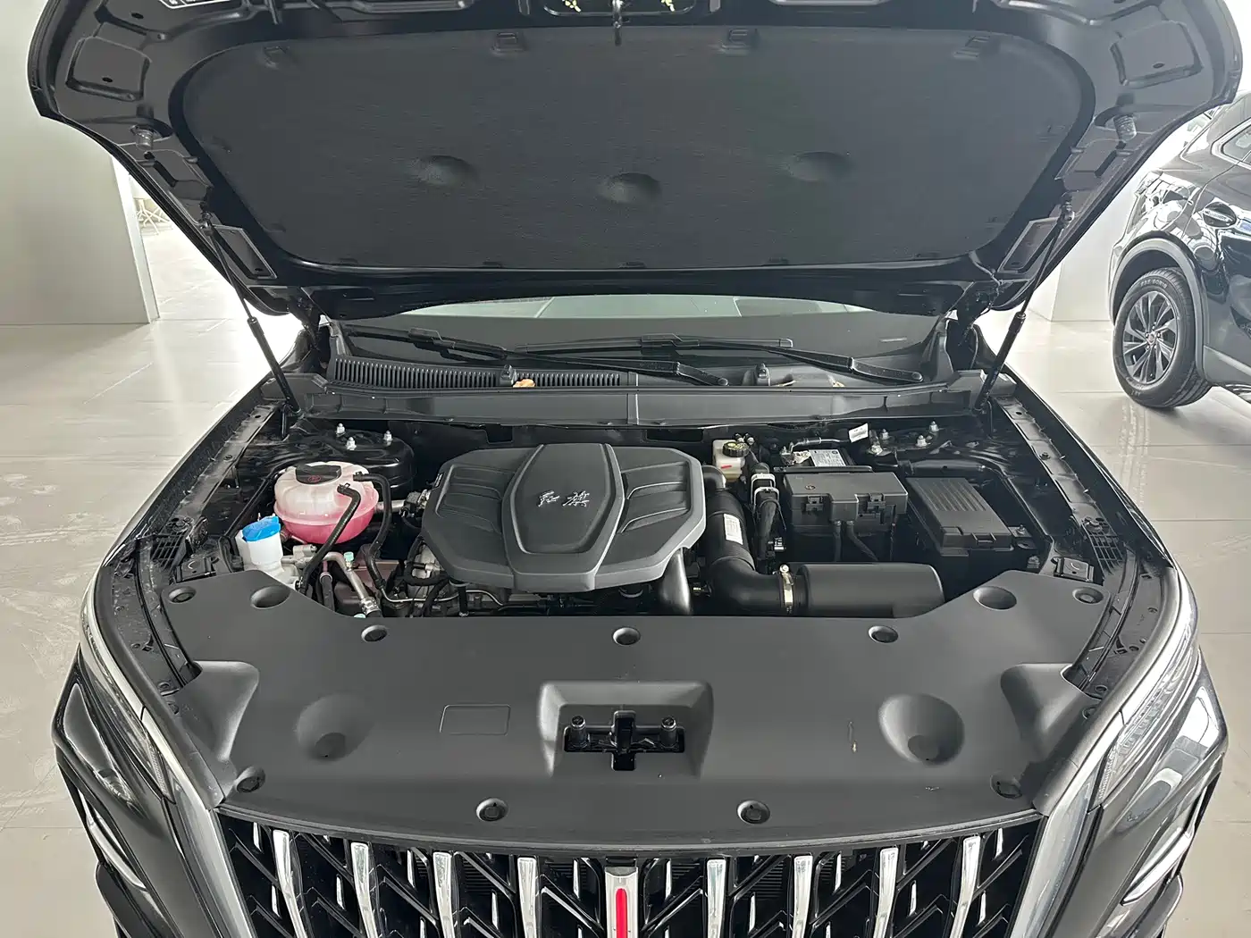 Hongqi HS5 2026 2025 2.0T 2WD Qixiang Pro
