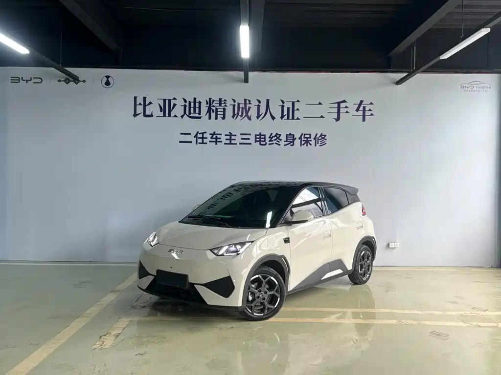 BYD Seagull 2025