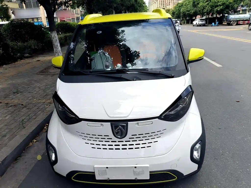 2020 Baojun E100