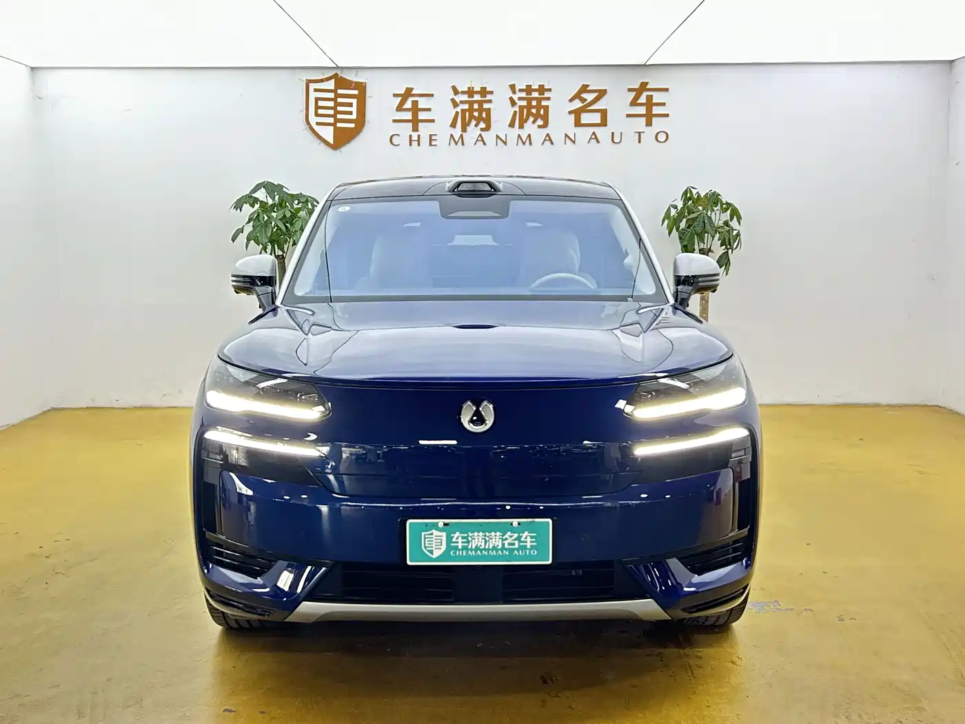 2026 Denza N9